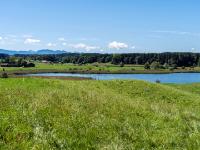 Hügellandschaft am Sengsee mit Alpen Blick